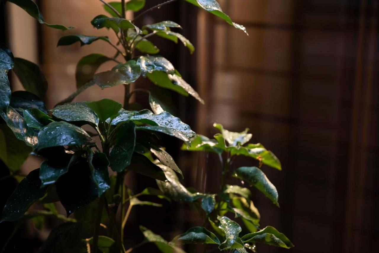 Kanazawa Machiya Kenroku Экстерьер фото